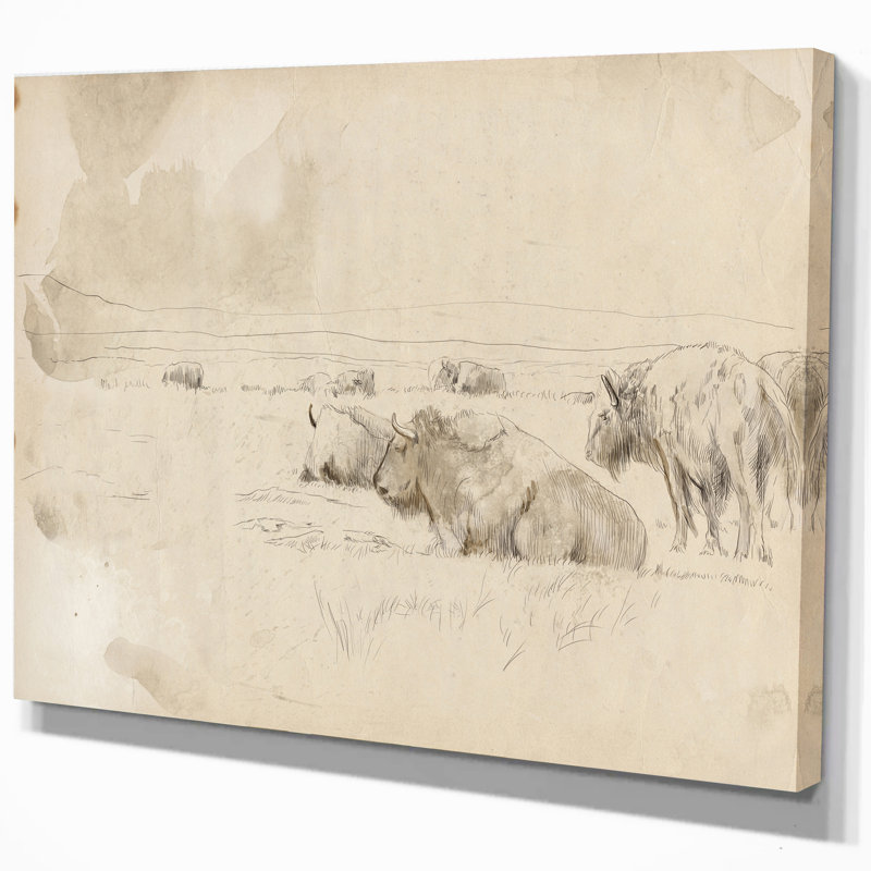 Troupeau de bisons sauvages-impression de dessin, H 20 po x l 20 po x P 1 po, Toile tendue