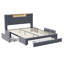 Upholstered Storage Bed-747831898