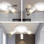 Shelvin Spotlight-751487647