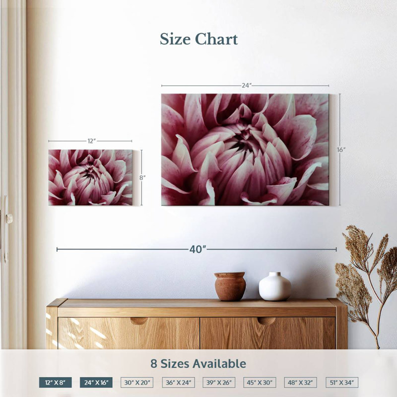 Harnek - fantaisie dahlia rose, H 16 po x l 24 po