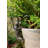 Dachshund Sausage Dog Pot Buddy Pot Hanger In Gift Box