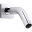 Honesty Shower Arm-217651636