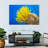 Brampt Yellow Feather Starfish-107847536