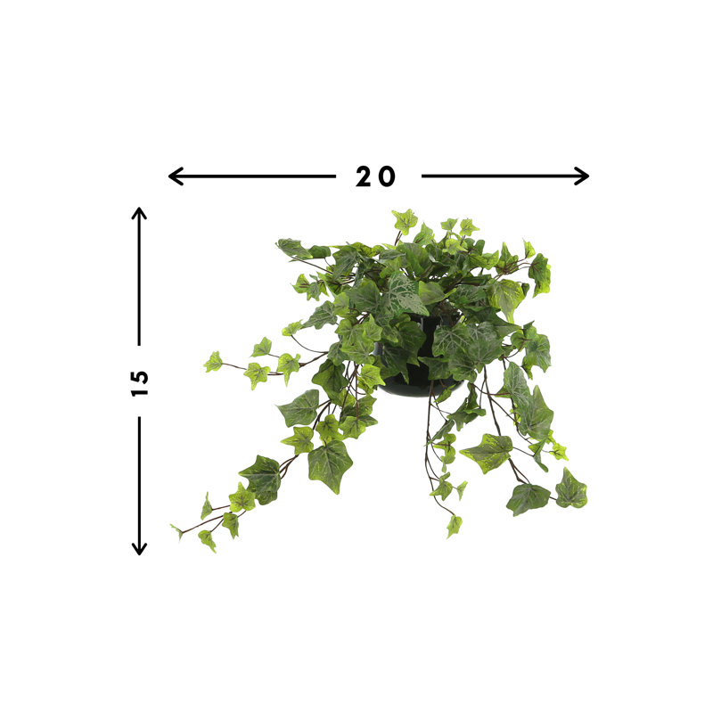 Jenner Faux Ivy Plant in Glass Vase, 15" H x 20" W x 20" D