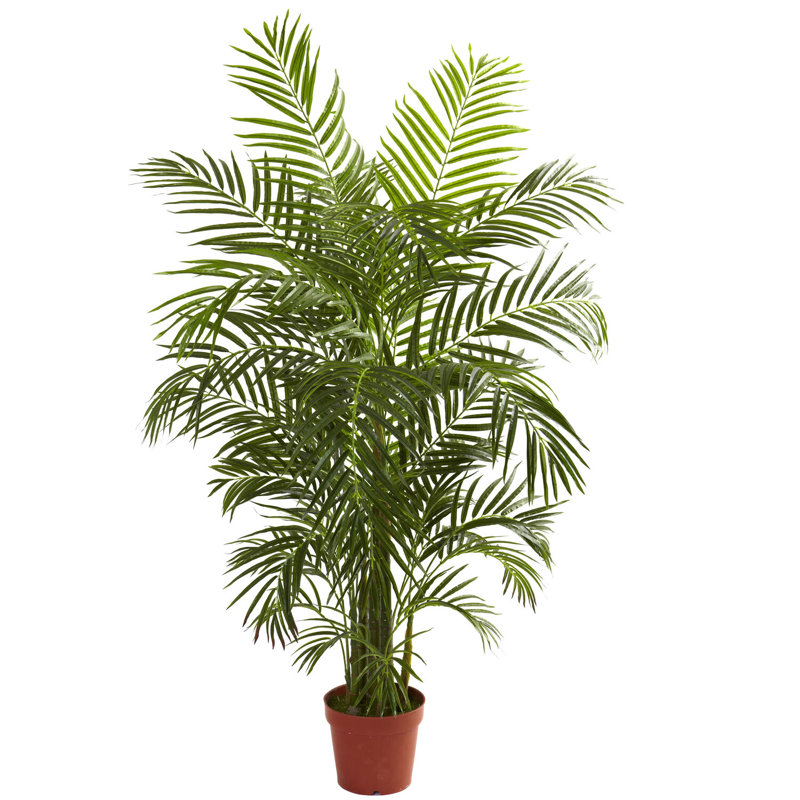 Areca Palm Tree in Pot, 30" H x 24" W x 24" D