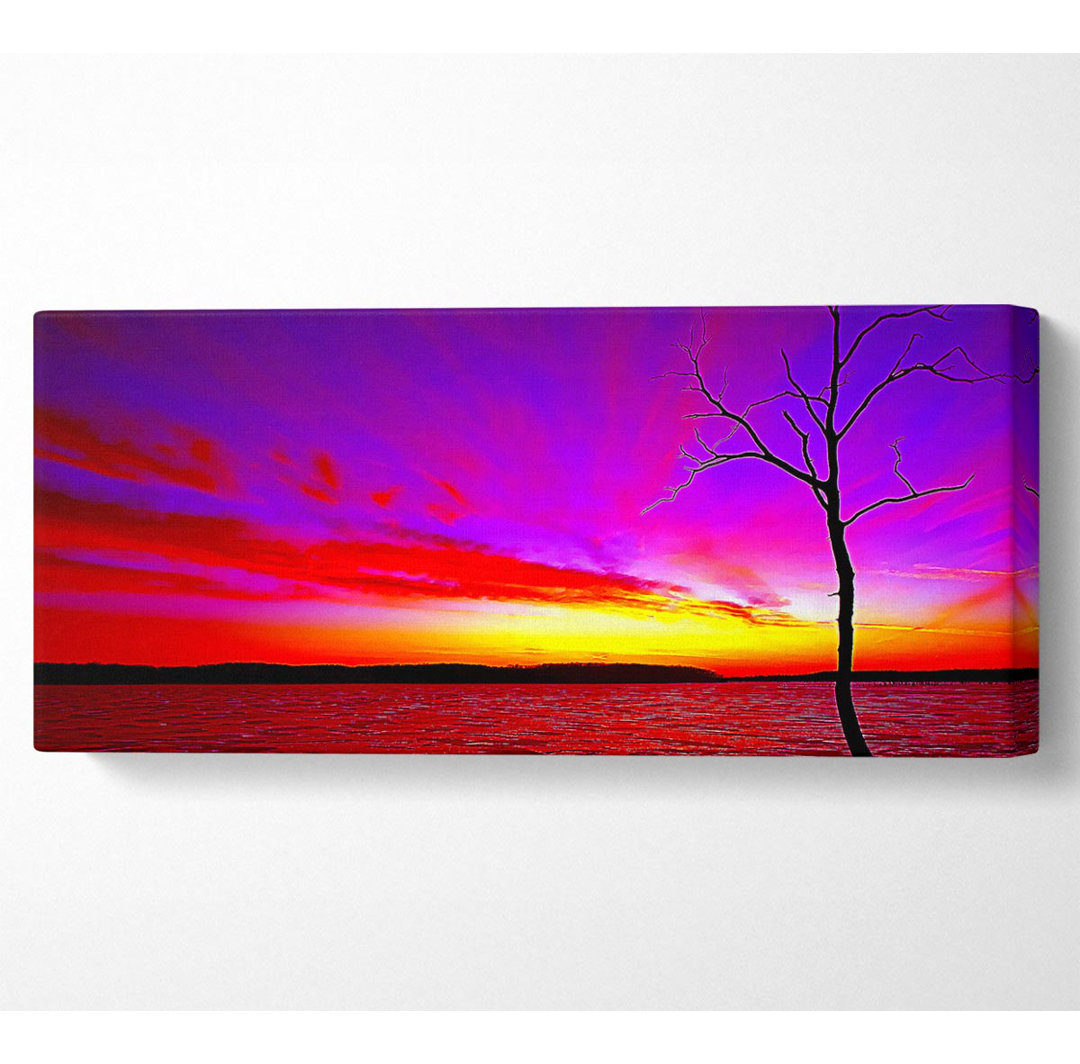 Sonnenuntergang Baum Regenbogen Himmel Panoramaleinwand