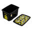 Keeeper Box-128786215