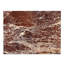 Kelly Marble Coffee Table-679708936
