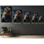 Chaman guérisseur singe sur toile-88650153