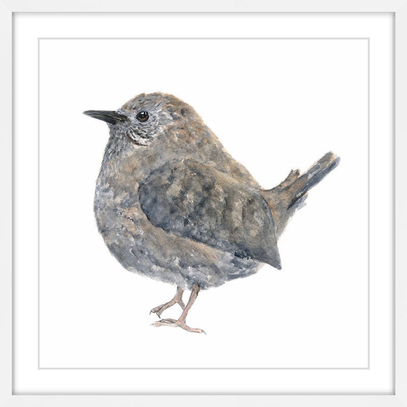 « wren oiseau » par la cartouche sparrow, reproduction d’art encadrée, H 24 po x l 24 po x P 1,5 po