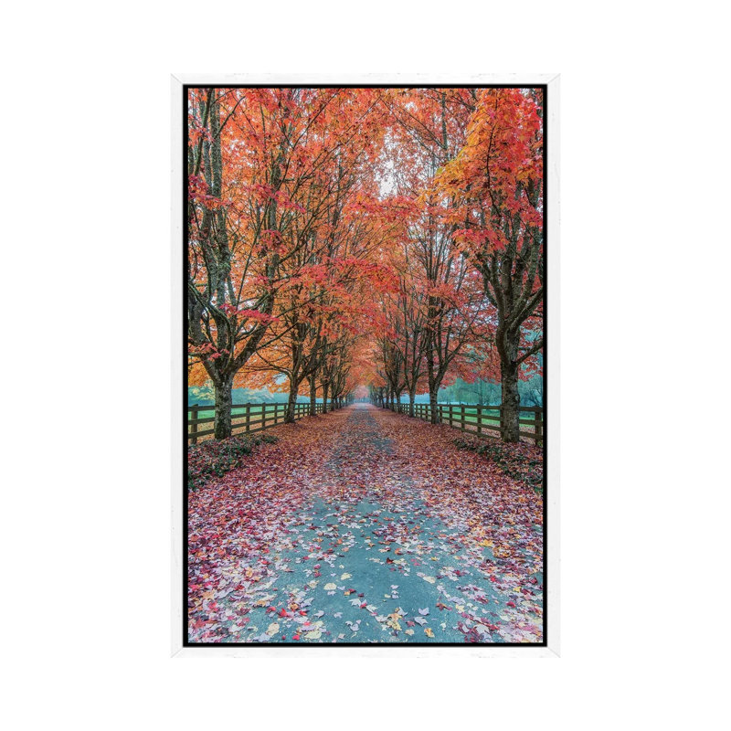 USA, Washington State, Snoqualmie. Autumn country lane. 1 Piece Wall Art on Canvas, 66.04 cm H x 45.72 cm W, White Framed