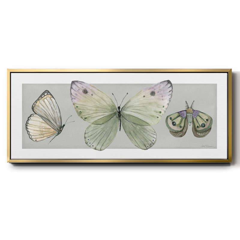 Pretty Insects II- Framed Canvas