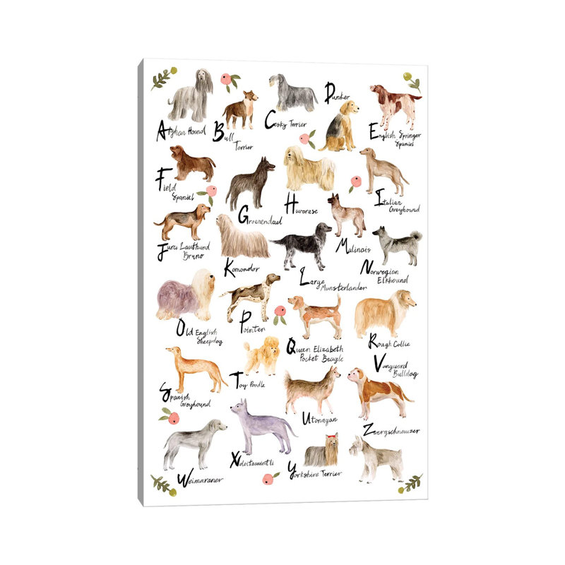 Dog Alphabet by Melissa Wang - Wrapped Canvas Print, 30.48cm H x 20.32cm W x 1.91cm D