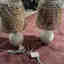 Customer photo 4 of 4