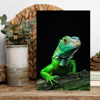 Green Iguana Iguana Iguana Classic Retro Vintage Lizard Animal Tropical Wall Art