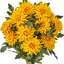 Ensemble de 19 po UV Autumn Mum-898554482