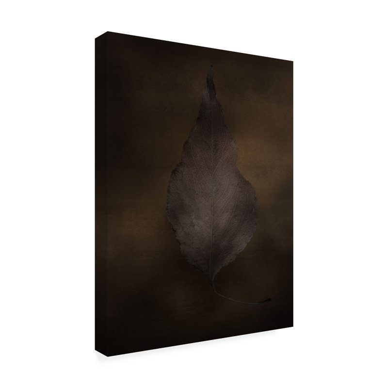Art sur toile Leaf Lori Hutchison, H 14 po x l 19 po