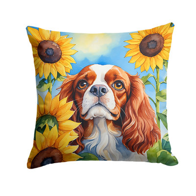 Other/No Pattern Indoor/Outdoor Throw Pillow