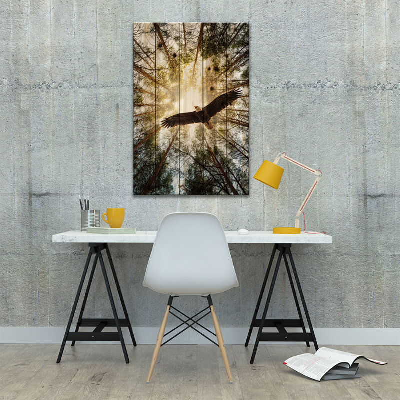 «Master of Heaven Bold Eagle» par Nik Rave - reproduction de photo sur toile tendue, H 26 po x l 18 po x 1,5 po, Bois