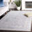 Henrri 100 Performance Oriental Rug-663147352