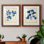 Toile encadrée Indigo Leaf Study-504656819-504656820-504889193