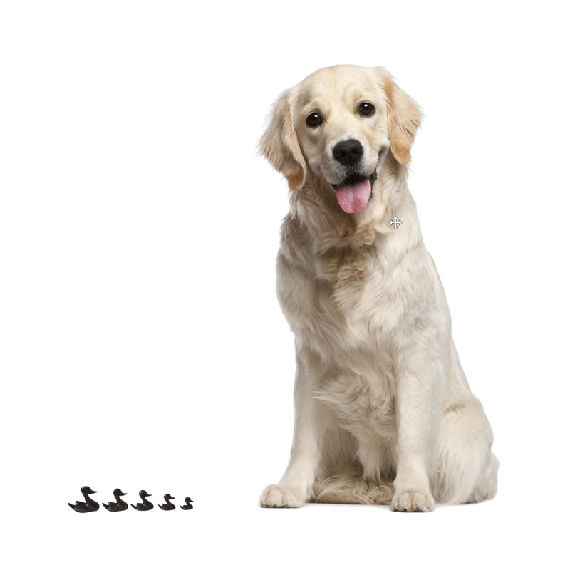 Bellechester Animals Figurines & Sculptures