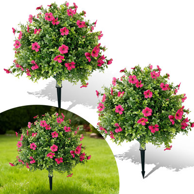 60cm Plant