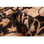 Tapis noir Peshawar Oushak 10 pi 0 po x 10 pi 1 po