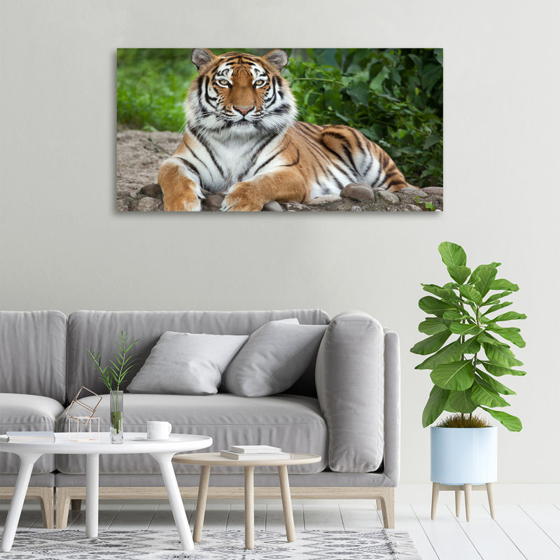 Siberian Tiger - No Frame Print on Canvas, No Frame, 50cm H x 100cm W