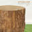 Tree Stump Stool, Decorative Side Table With Round Tabletop, Concrete End Table With Wood Grain Finish