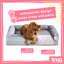 Snug Orthopaedic Pet Bed-98240146-108806512
