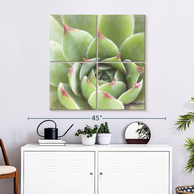 Harnek Garden Succulents III