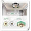 Ventilateur de plafond Museau avec lumières DEL