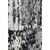 Premium Machine Washable Prisco Black Rug
