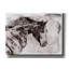 «Dark Brown Horse 4» par Irena Orlov, art mural sur toile-23169502