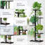 Caelin Plant Stand-257149042