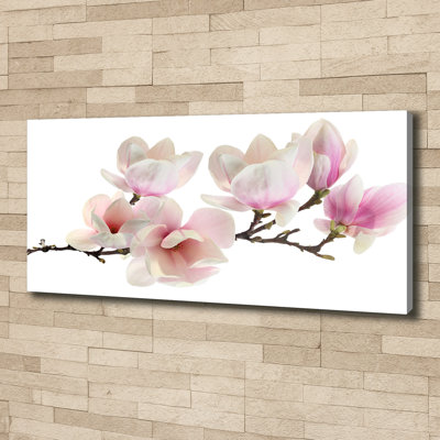 Magnolia - Print