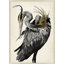 Proud Heron Print