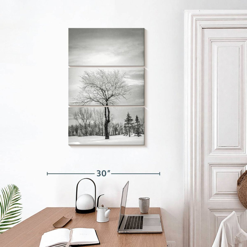 Arbre solitaire Harnek recouvert de neige en BW, H 32 po x l 20 po