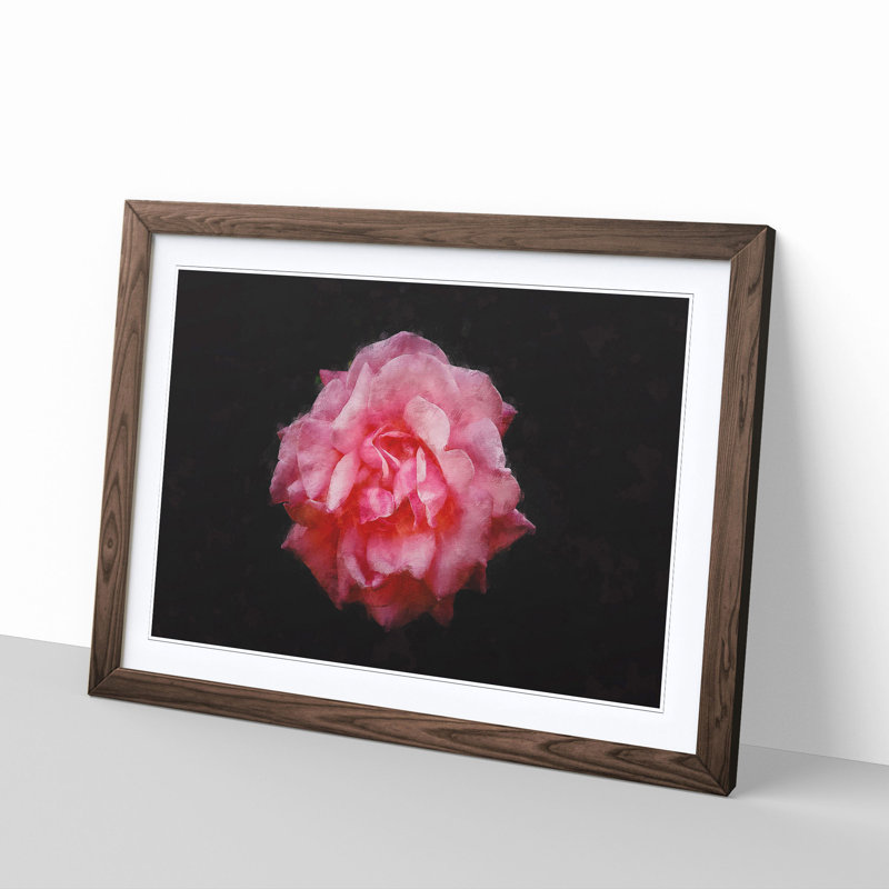Lone Pink Carnation - Picture Frame Graphic Art Print, 62cm H x 87cm W x 2cm D, Walnut Framed