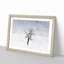 Winter Tree - Picture Frame Painting Print-56739352-56739350