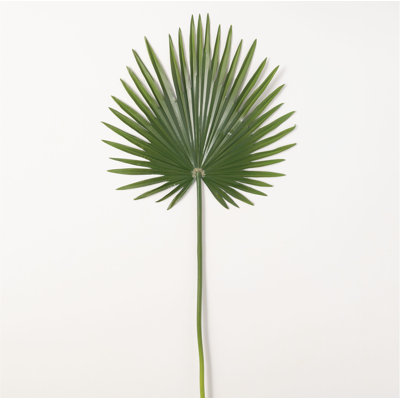 Tige palmetto