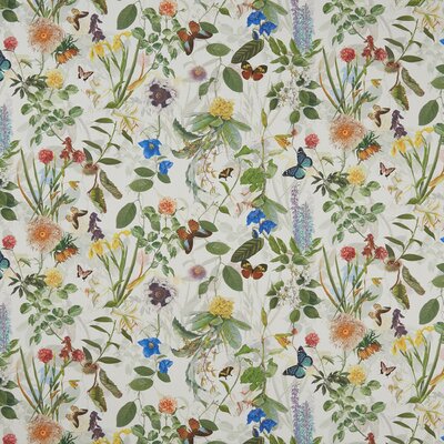 Clarke&Clarke Secret Garden Fabric | Perigold