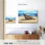 Mouettes et bateau Mehar-107496583