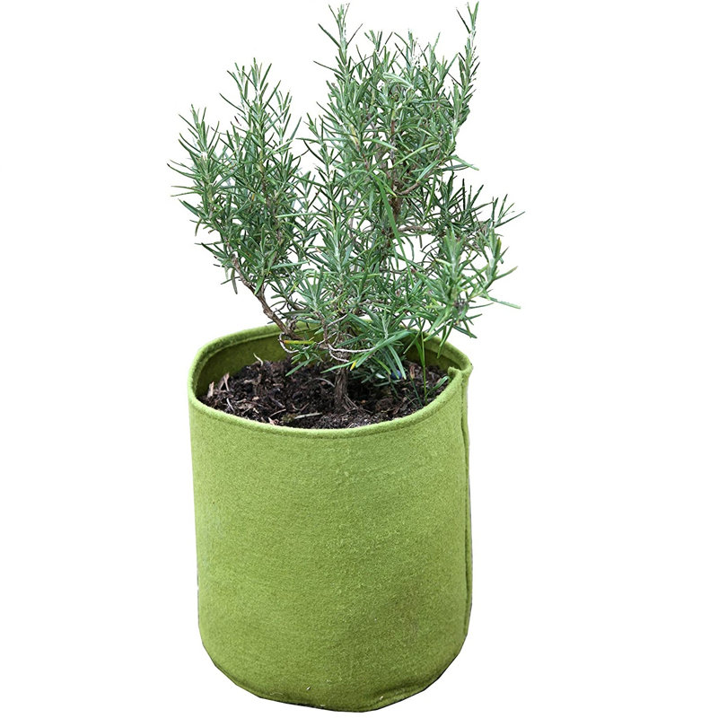 Arionah Pot Planter