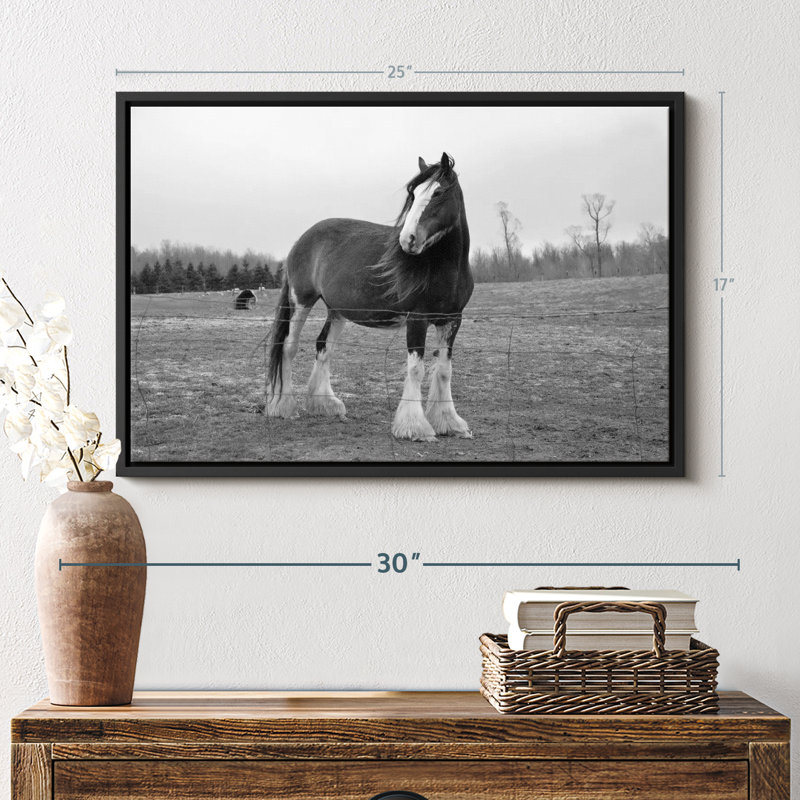 Impression sur toile monochrome Clydesdale, H 25 po x l 17 po