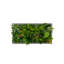 106cm Plant-1867390957