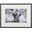 Tree Study I Print by Stawiorz