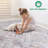 Newquest Rug-594957968