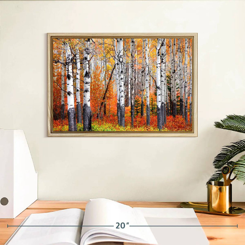 Forêt de trembles de Banff, Cadre flottant en bois naturel, 13 po x 9 po